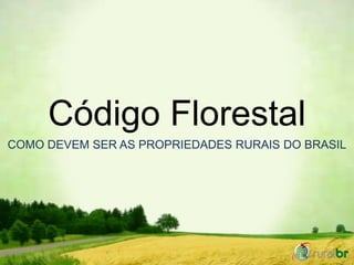 Código Florestal
COMO DEVEM SER AS PROPRIEDADES RURAIS DO BRASIL
 