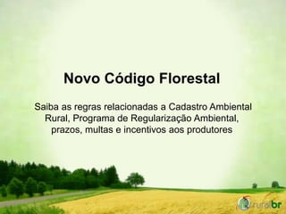Novo Código Florestal
Saiba as regras relacionadas a Cadastro Ambiental
  Rural, Programa de Regularização Ambiental,
    ...