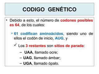 Comprehensive Overview of the Genetic Code and Its Biological ...