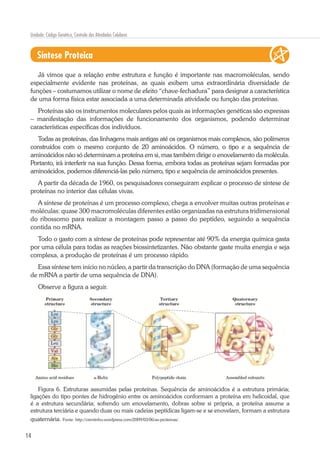14
Unidade: Código Genético, Controle das Atividades Celulares
Síntese Proteica
Já vimos que a relação entre estrutura e função é importante nas macromoléculas, sendo
especialmente evidente nas proteínas, as quais exibem uma extraordinária diversidade de
funções – costumamos utilizar o nome de efeito “chave-fechadura” para designar a característica
de uma forma física estar associada a uma determinada atividade ou função das proteínas.
Proteínas são os instrumentos moleculares pelos quais as informações genéticas são expressas
– manifestação das informações de funcionamento dos organismos, podendo determinar
características específicas dos indivíduos.
Todas as proteínas, das linhagens mais antigas até os organismos mais complexos, são polímeros
construídos com o mesmo conjunto de 20 aminoácidos. O número, o tipo e a sequência de
aminoácidos não só determinam a proteína em si, mas também dirige o enovelamento da molécula.
Portanto, irá interferir na sua função. Dessa forma, embora todas as proteínas sejam formadas por
aminoácidos, podemos diferenciá-las pelo número, tipo e sequência de aminoácidos presentes.
A partir da década de 1960, os pesquisadores conseguiram explicar o processo de síntese de
proteínas no interior das células vivas.
A síntese de proteínas é um processo complexo, chega a envolver muitas outras proteínas e
moléculas: quase 300 macromoléculas diferentes estão organizadas na estrutura tridimensional
do ribossomo para realizar a montagem passo a passo do peptídeo, seguindo a sequência
contida no mRNA.
Todo o gasto com a síntese de proteínas pode representar até 90% da energia química gasta
por uma célula para todas as reações biossintetizantes. Não obstante gaste muita energia e seja
complexa, a produção de proteínas é um processo rápido.
Essa síntese tem início no núcleo, a partir da transcrição do DNA (formação de uma sequência
de mRNA a partir de uma sequência de DNA).
Observe a figura a seguir.
Figura 6. Estruturas assumidas pelas proteínas. Sequência de aminoácidos é a estrutura primária;
ligações do tipo pontes de hidrogênio entre os aminoácidos conformam a proteína em helicoidal, que
é a estrutura secundária; sofrendo um enovelamento, dobras sobre si própria, a proteína assume a
estrutura terciária e quando duas ou mais cadeias peptídicas ligam-se e se enovelam, formam a estrutura
quaternária. Fonte: http://crentinho.wordpress.com/2009/03/06/as-proteinas/.
 