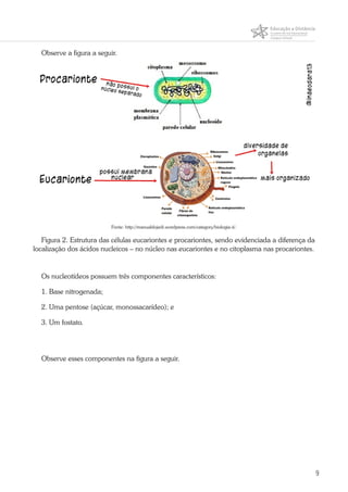 9
Observe a figura a seguir.
Fonte: http://manualdojedi.wordpress.com/category/biologia-ii/.
Figura 2. Estrutura das células eucariontes e procariontes, sendo evidenciada a diferença da
localização dos ácidos nucleicos – no núcleo nas eucariontes e no citoplasma nas procariontes.
Os nucleotídeos possuem três componentes característicos:
1. Base nitrogenada;
2. Uma pentose (açúcar, monossacarídeo); e
3. Um fostato.
Observe esses componentes na figura a seguir.
 