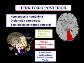 TERRITORIO POSTERIOR
Hemianopsia homónima
Disfunción cerebelosa
Semiología de tronco cerebral
Alteraciones
visuales
(hemianopsia)
Vértigo
Náuseas-Vómitos
Ataxia
Alteraciones
oculomotoras
Pares craneales
Vigilia

 