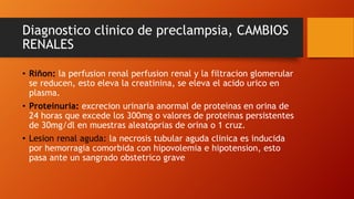 Diagnostico clinico de preclampsia, CAMBIOS
RENALES
• Riñon: la perfusion renal perfusion renal y la filtracion glomerular
se reducen, esto eleva la creatinina, se eleva el acido urico en
plasma.
• Proteinuria: excrecion urinaria anormal de proteinas en orina de
24 horas que excede los 300mg o valores de proteinas persistentes
de 30mg/dl en muestras aleatoprias de orina o 1 cruz.
• Lesion renal aguda: la necrosis tubular aguda clinica es inducida
por hemorragia comorbida con hipovolemia e hipotension, esto
pasa ante un sangrado obstetrico grave
 