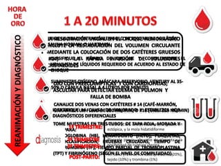 Aborto y sus complicaciones, la gestación
ectópica, y la mola hidatidiforme
Placenta previa, abruptio de placenta y la
posibilidad de ruptura uterina
4T: tono (70% de los casos), trauma (20%),
tejido (10%) y trombina (1%)

 