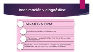 ESTRATEGIA OVM
Oxígeno – mascarilla y/o cánula nasal
Vías Venosas – angiocath #16 o #18 – toma de muestras
para laboratorio
Monitoreo – frecuencia cardíaca y respiratoria, presión arterial,
temperatura, excreta urinaria y saturación de oxígeno
Reanimación y diagnóstico:
 