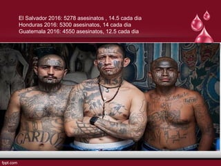 El Salvador 2016: 5278 asesinatos , 14.5 cada dia
Honduras 2016: 5300 asesinatos, 14 cada dia
Guatemala 2016: 4550 asesinatos, 12.5 cada dia
 