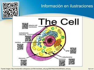 Información en ilustraciones




Fuente imagen: http://mrshamilton.wikispaces.com/file/view/label_cell.png/306878802/400x289/label_cell.png
 