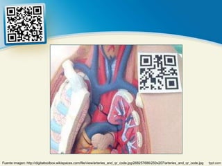 Fuente imagen: http://digitaltoolbox.wikispaces.com/file/view/arteries_and_qr_code.jpg/268257686/250x207/arteries_and_qr_code.jpg
 