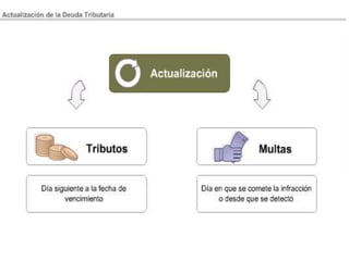 __________________________________________________________________________________
44
 