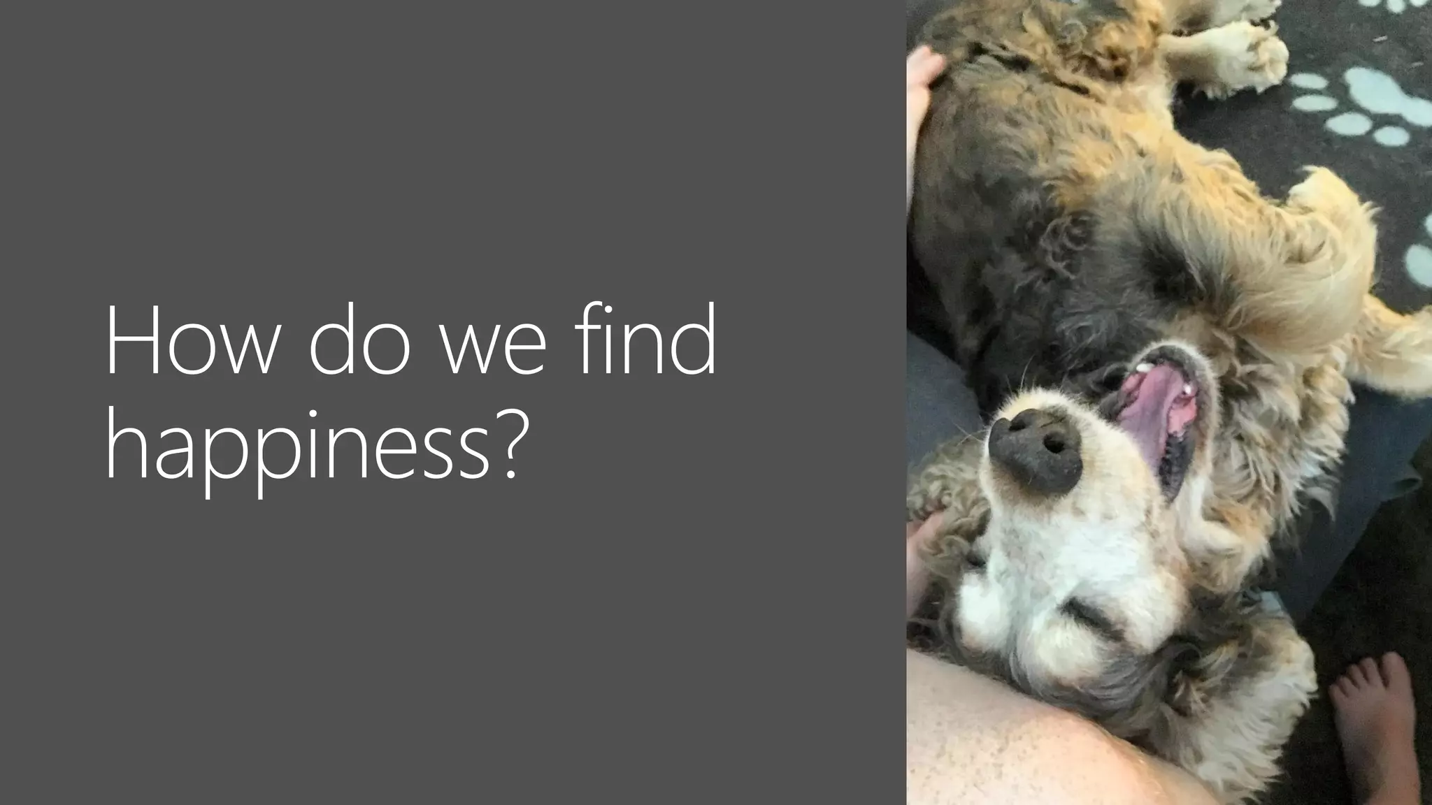 How do we find
happiness?
 