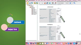 Creating a Coding Book in IBM SPSS Statistics | PDF
