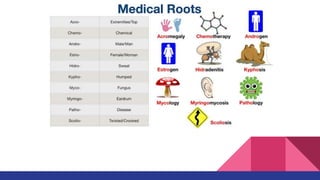 Coding Course Power Point - ICD 10 Coding. | PPTX