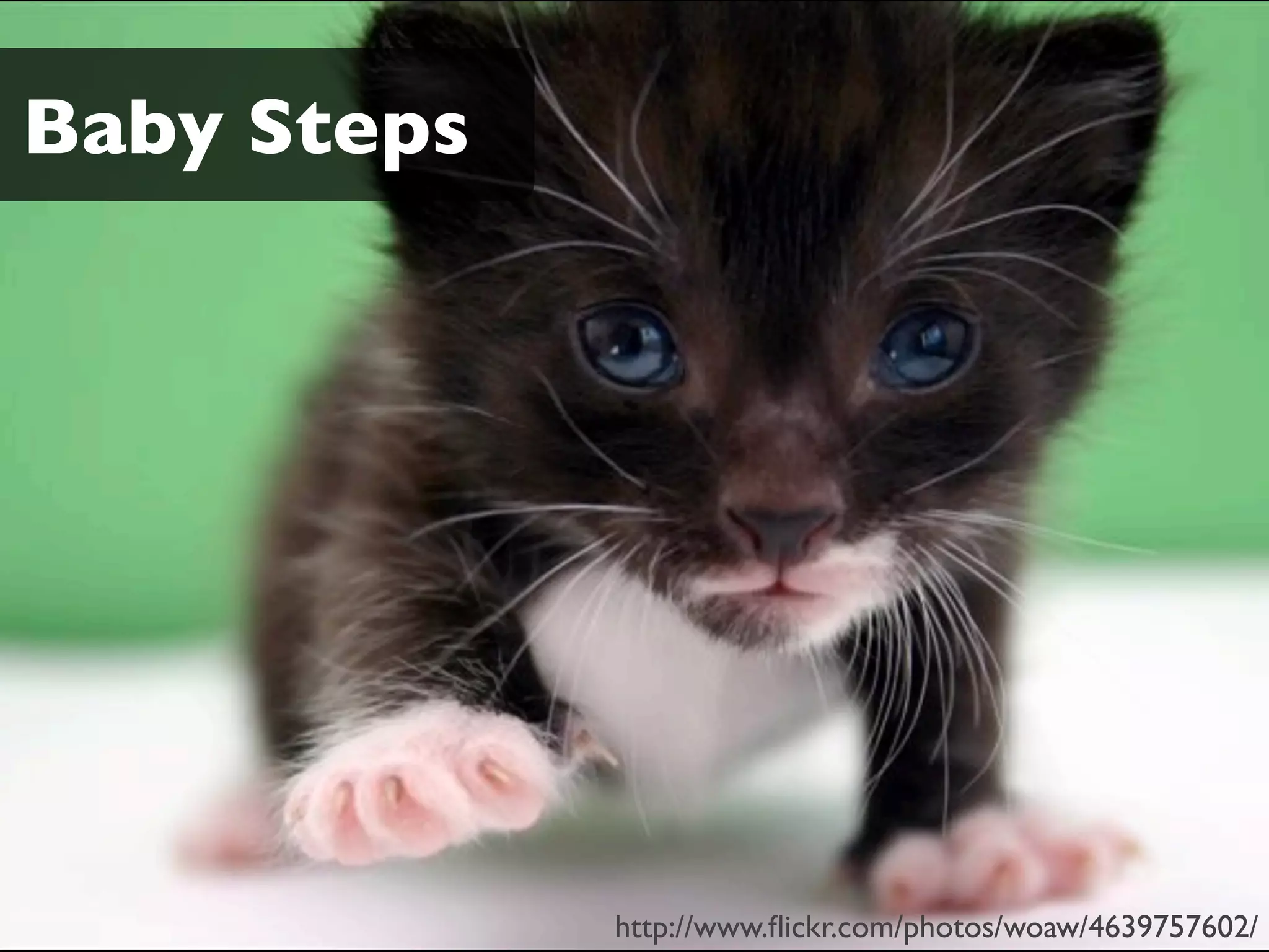 Baby Steps
http://www.flickr.com/photos/woaw/4639757602/