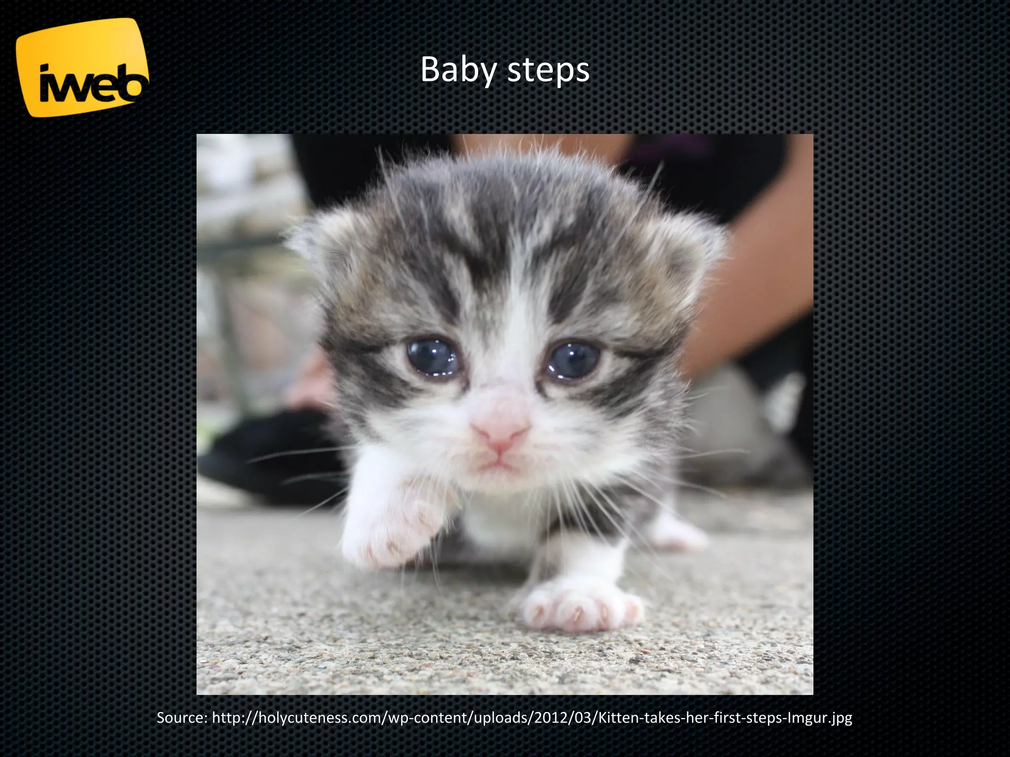 Baby steps

Source: http://holycuteness.com/wp-content/uploads/2012/03/Kitten-takes-her-first-steps-Imgur.jpg

 
