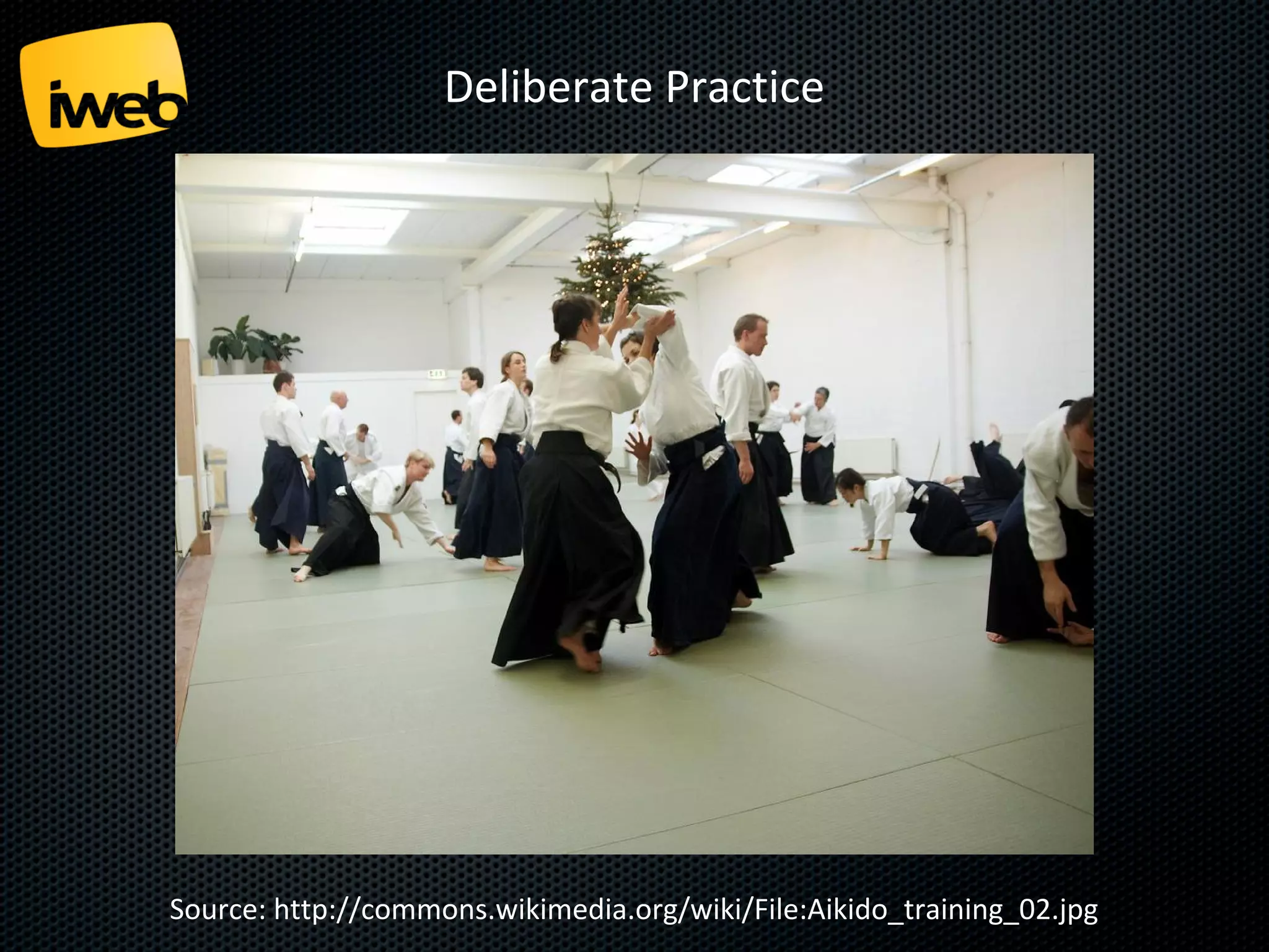 Deliberate Practice

Source: http://commons.wikimedia.org/wiki/File:Aikido_training_02.jpg

 