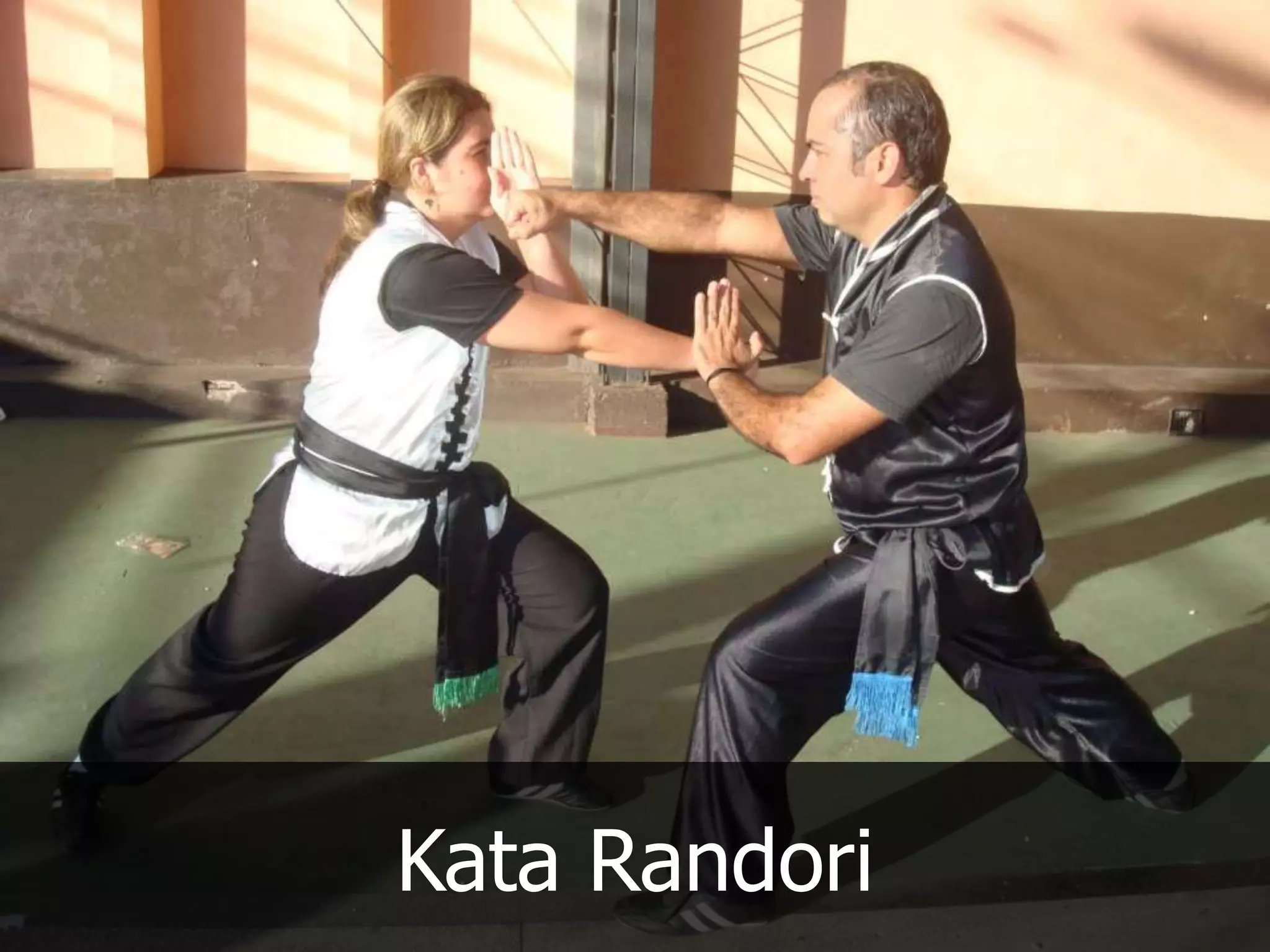 Kata Randori
 