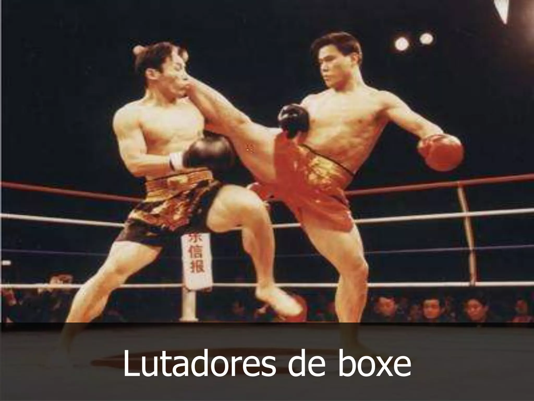Lutadores de boxe
 