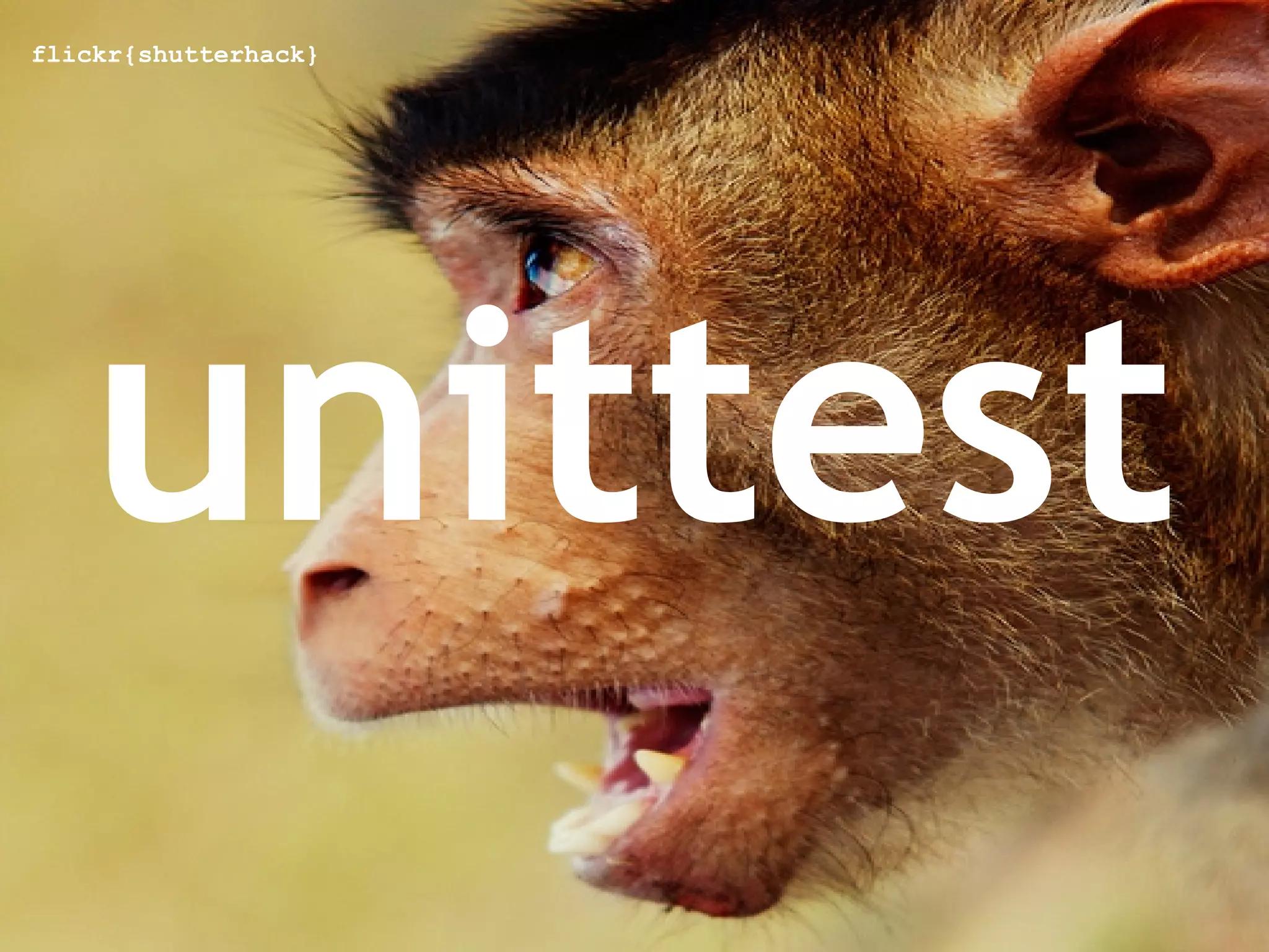 flickr{shutterhack}




   unittest
 