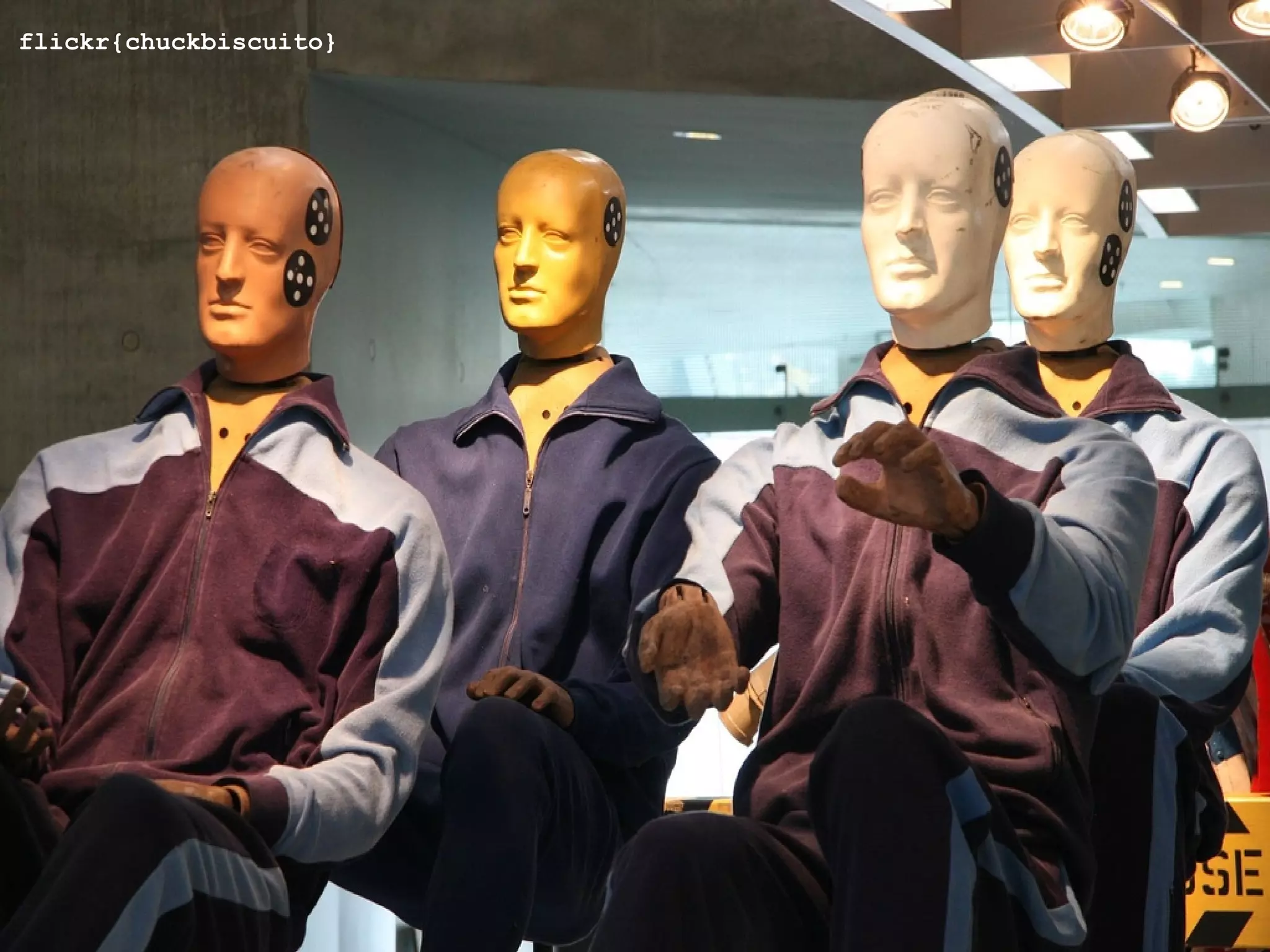 flickr{chuckbiscuito}
 