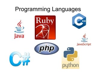 Programming Languages
 