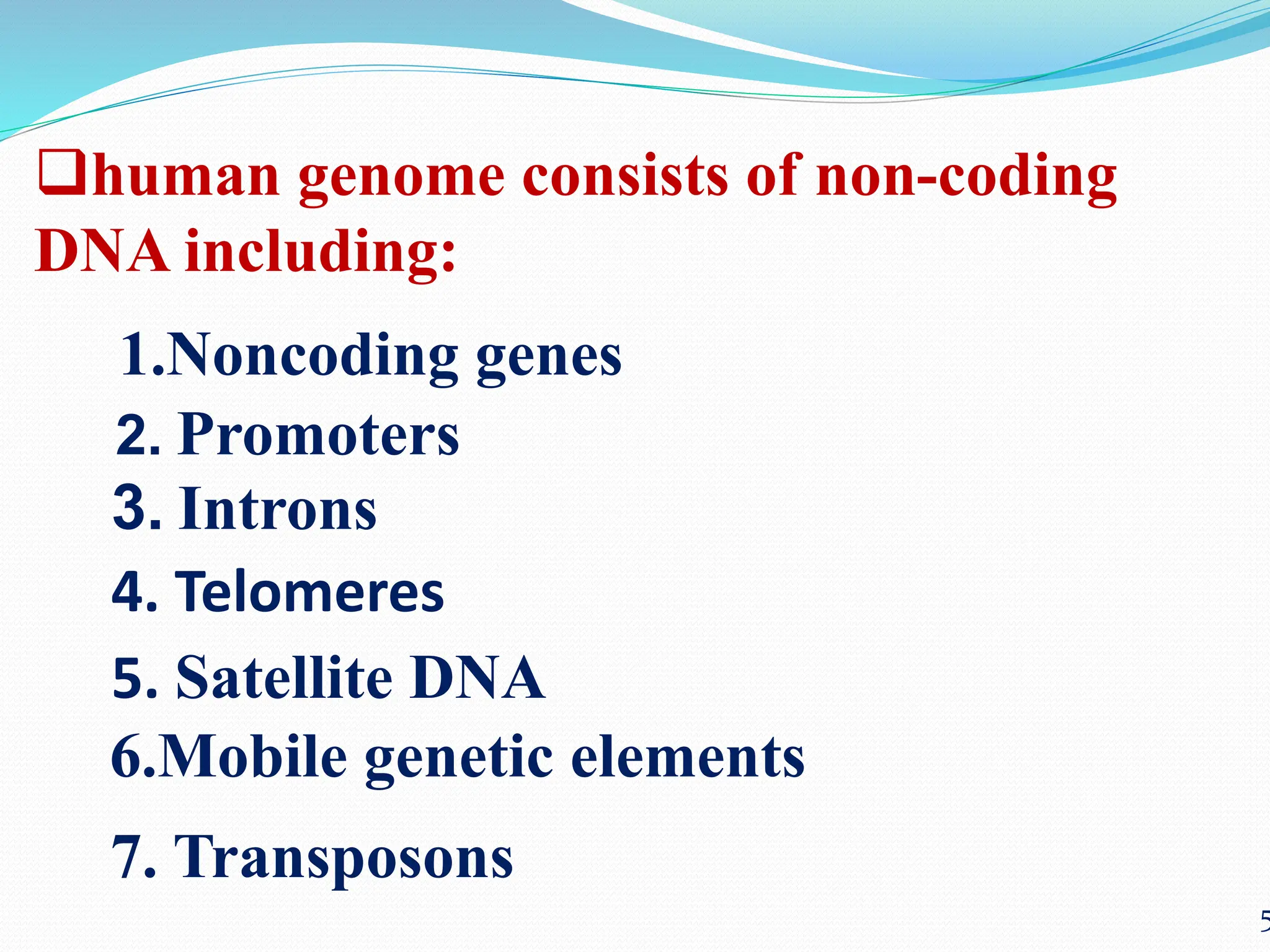 coding &non coding DNA molecular biology.pdf | Genetics | Science