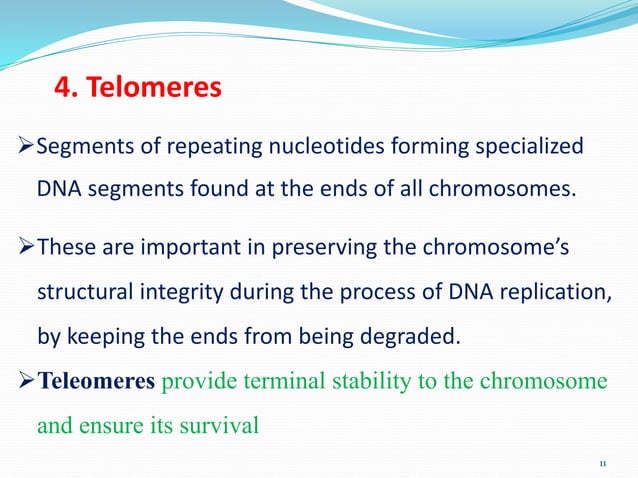 coding &non coding DNA molecular biology.pdf | Genetics | Science