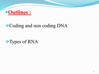 coding &non coding DNA molecular biology.pdf | Genetics | Science