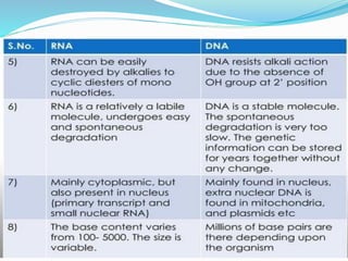 coding &non coding DNA molecular biology.pdf | Genetics | Science