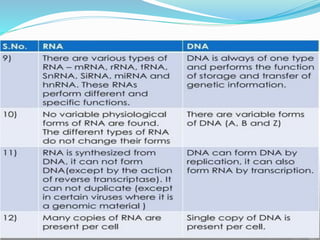 coding &non coding DNA molecular biology.pdf | Genetics | Science