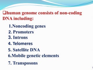 coding &non coding DNA molecular biology.pdf | Genetics | Science
