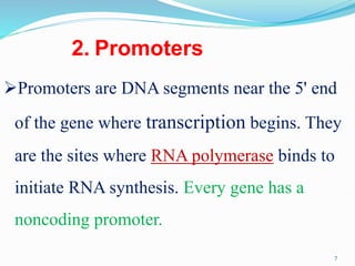 coding &non coding DNA molecular biology.pdf | Genetics | Science
