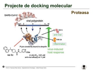 64
Prof. Dr. Francisco Pérez García – Departament de Tecnologia – Institut Pompeu Fabra
Projecte de docking molecular
Proteasa
 