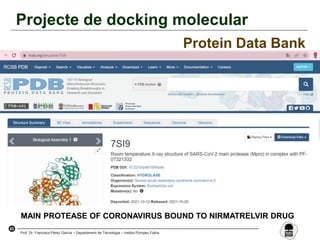 65
Prof. Dr. Francisco Pérez García – Departament de Tecnologia – Institut Pompeu Fabra
Projecte de docking molecular
Protein Data Bank
MAIN PROTEASE OF CORONAVIRUS BOUND TO NIRMATRELVIR DRUG
 