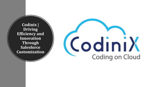 Codinix |
Driving
Efficiency and
Innovation
Through
Salesforce
Customization
 
