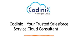 Codinix | Your Trusted Salesforce
Service Cloud Consultant
 