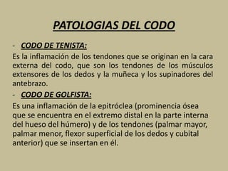 PATOLOGIAS DEL  CODO