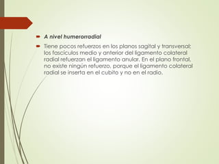  A nivel humerorradial
 Tiene pocos refuerzos en los planos sagital y transversal;
los fascículos medio y anterior del ligamento colateral
radial refuerzan el ligamento anular. En el plano frontal,
no existe ningún refuerzo, porque el ligamento colateral
radial se inserta en el cubito y no en el radio.
 