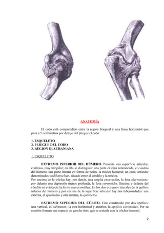Codo anatomia | PDF