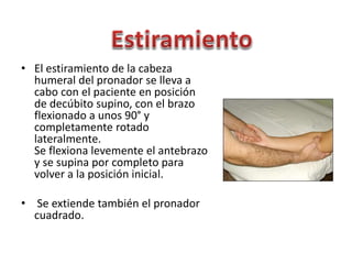 Codo expo | PPTX