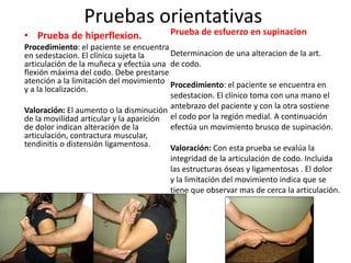 Codo expo | PPTX