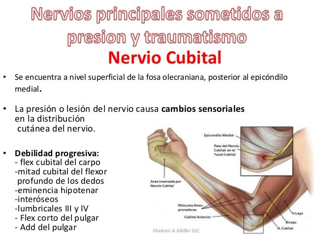 Duele los riñones la mecedora