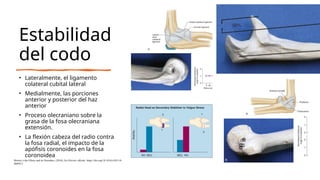 Estabilidad
del codo
• Lateralmente, el ligamento
colateral cubital lateral
• Medialmente, las porciones
anterior y posterior del haz
anterior
• Proceso olecraniano sobre la
grasa de la fosa olecraniana
extensión.
• La flexión cabeza del radio contra
la fosa radial, el impacto de la
apófisis coronoides en la fosa
coronoidea
Morrey’s the Elbow and its Disorders. (2018). En Elsevier eBooks. https://doi.org/10.1016/c2011-0-
06694-2
 