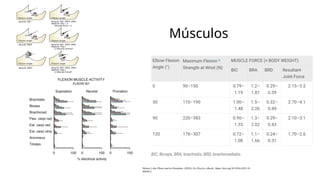 Músculos
Morrey’s the Elbow and its Disorders. (2018). En Elsevier eBooks. https://doi.org/10.1016/c2011-0-
06694-2
 