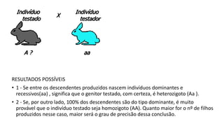 Indivíduo
testado
X
Indivíduo
testador
A ? aa
RESULTADOS POSSÍVEIS
• 1 - Se entre os descendentes produzidos nascem indivíduos dominantes e
recessivos(aa) , significa que o genitor testado, com certeza, é heterozigoto (Aa ).
• 2 - Se, por outro lado, 100% dos descendentes são do tipo dominante, é muito
provável que o indivíduo testado seja homozigoto (AA). Quanto maior for o nº de filhos
produzidos nesse caso, maior será o grau de precisão dessa conclusão.
 