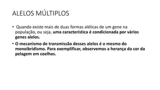 ALELOS MÚLTIPLOS
• Quando existe mais de duas formas alélicas de um gene na
população, ou seja, uma característica é condicionada por vários
genes alelos.
• O mecanismo de transmissão desses alelos é o mesmo do
monoibridismo. Para exemplificar, observemos a herança da cor da
pelagem em coelhos.
 