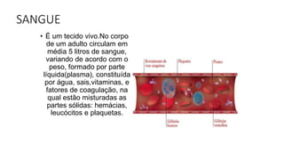 SANGUE
• É um tecido vivo.No corpo
de um adulto circulam em
média 5 litros de sangue,
variando de acordo com o
peso, formado por parte
líquida(plasma), constituída
por água, sais,vitaminas, e
fatores de coagulação, na
qual estão misturadas as
partes sólidas: hemácias,
leucócitos e plaquetas.
 