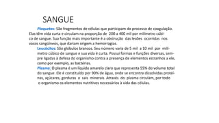 SANGUE
Plaquetas: São fragmentos de células que participam do processo de coagulação.
Elas têm vida curta e circulam na proporção de 200 a 400 mil por milímetro cúbi-
co de sangue. Sua função mais importante é a obstrução das lesões ocorridas nos
vasos sangüíneos, que dariam origem a hemorragias.
Leucócitos: São glóbulos brancos. Seu número varia de 5 mil a 10 mil por milí-
metro cúbico de sangue e sua vida é curta. Possui formas e funções diversas, sem-
pre ligadas à defesa do organismo contra a presença de elementos estranhos a ele,
como por exemplo, as bactérias.
Plasma: O plasma é um líquido amarelo claro que representa 55% do volume total
do sangue. Ele é constituído por 90% de água, onde se encontra dissolvidas proteí-
nas, açúcares, gorduras e sais minerais. Através do plasma circulam, por todo
o organismo os elementos nutritivos necessários à vida das células.
 