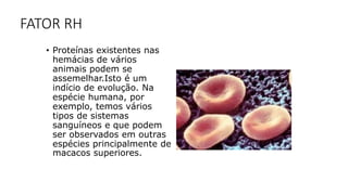 FATOR RH
• Proteínas existentes nas
hemácias de vários
animais podem se
assemelhar.Isto é um
indício de evolução. Na
espécie humana, por
exemplo, temos vários
tipos de sistemas
sanguíneos e que podem
ser observados em outras
espécies principalmente de
macacos superiores.
 
