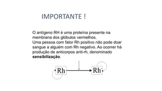 O antígeno RH é uma proteína presente na
membrana dos glóbulos vermelhos.
Uma pessoa com fator Rh positivo não pode doar
sangue a alguém com Rh negativo. Ao ocorrer há
produção de anticorpos anti-rh, denominado
sensibilização.
IMPORTANTE !
 