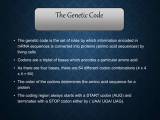 Codon App best presentation on codon bias and its appliaction | PPTX